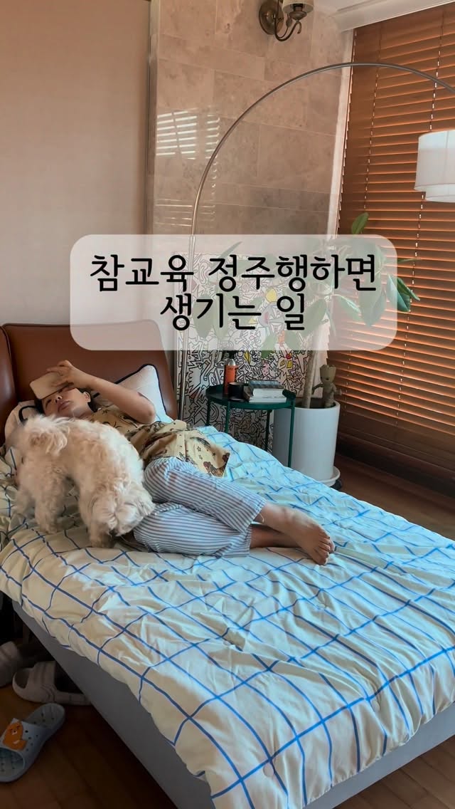 슈틸루스터 퓨어블룸 진동 클렌저
