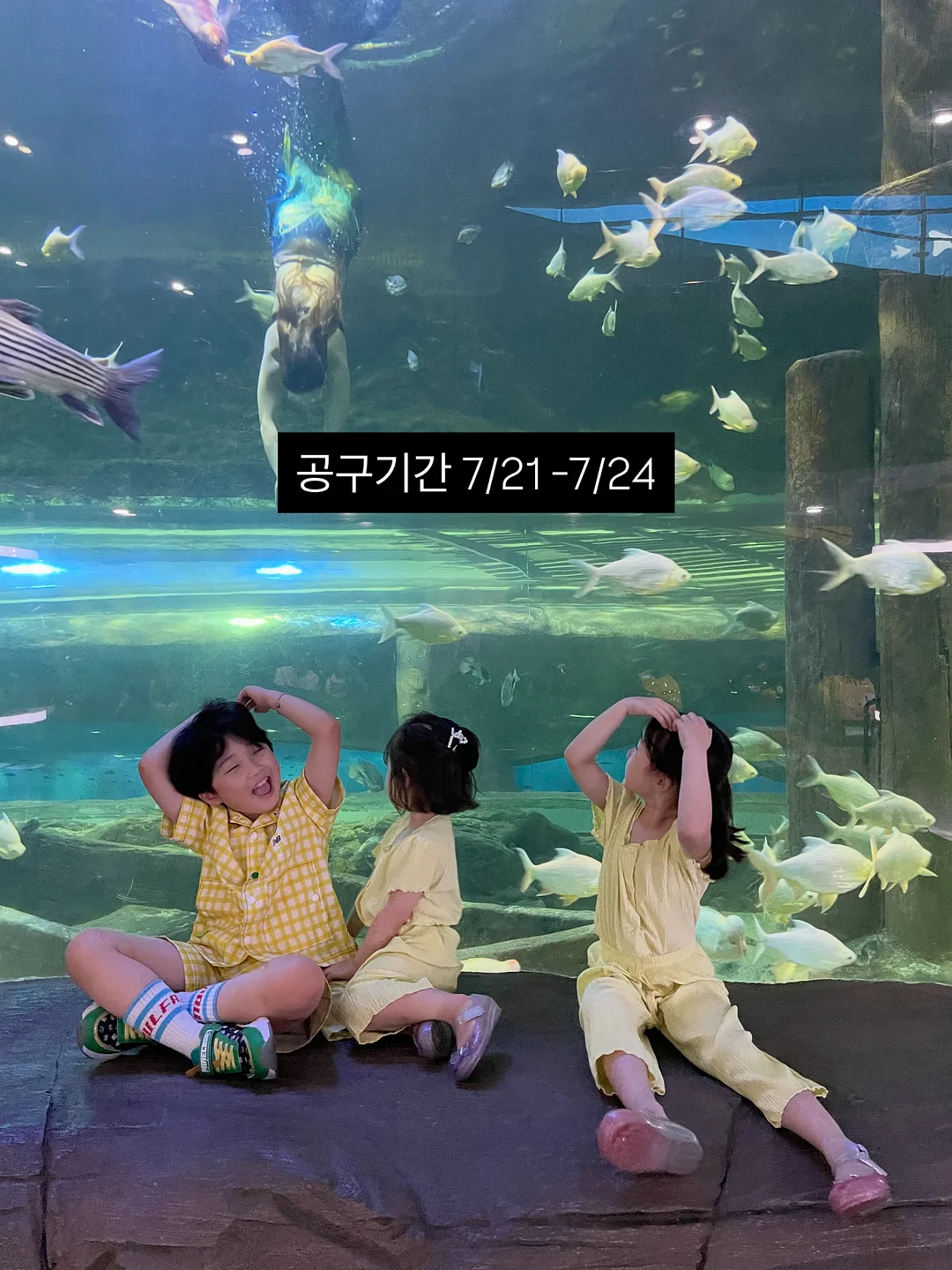코치 브루클린 숄더백 15