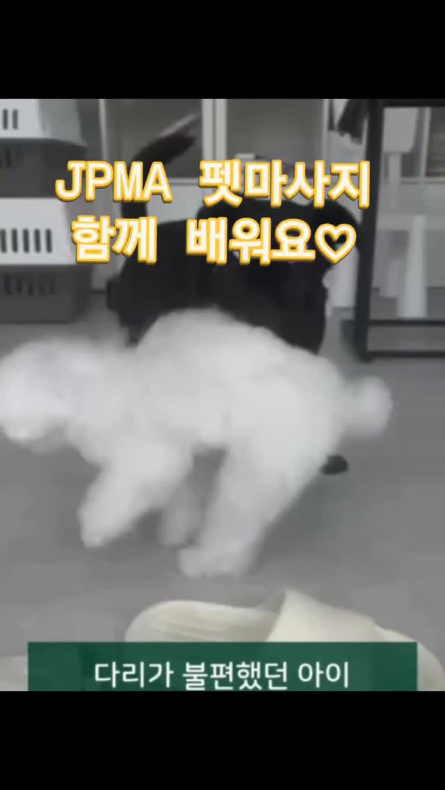 아기 외박 꿀템