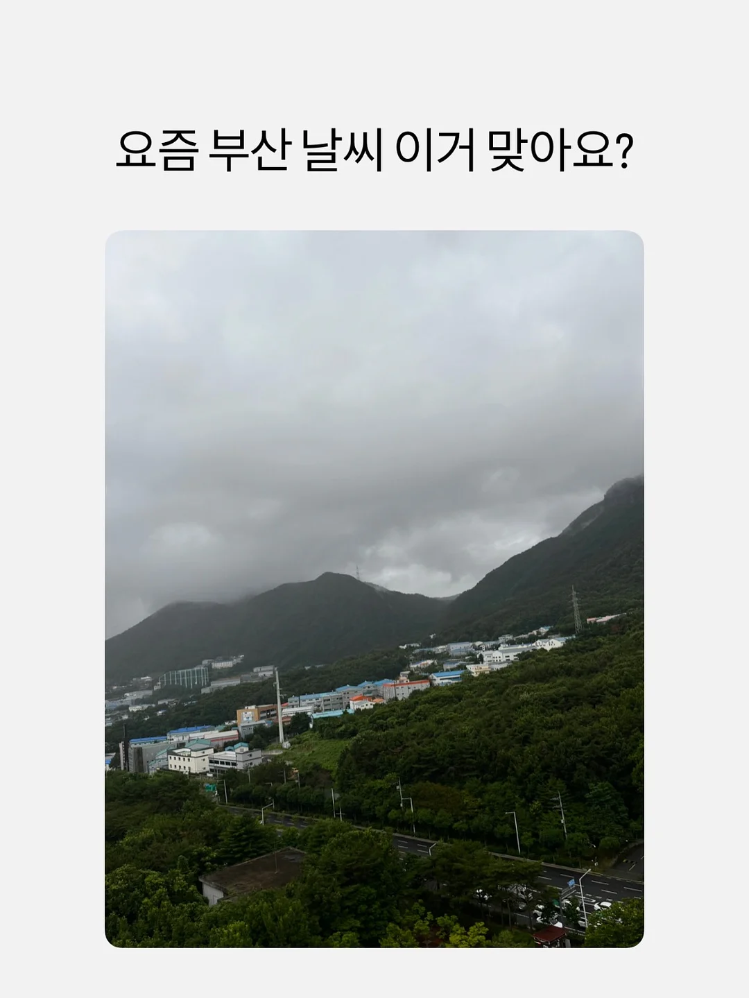 츄리닝세트 1