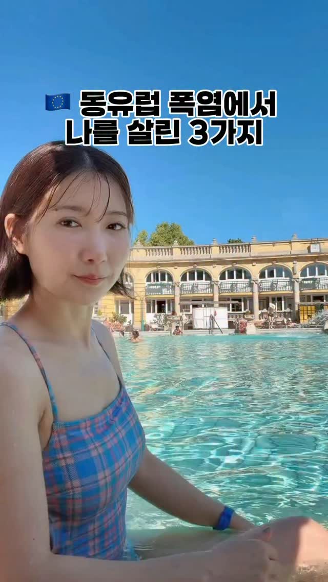 두바우니 브라우니