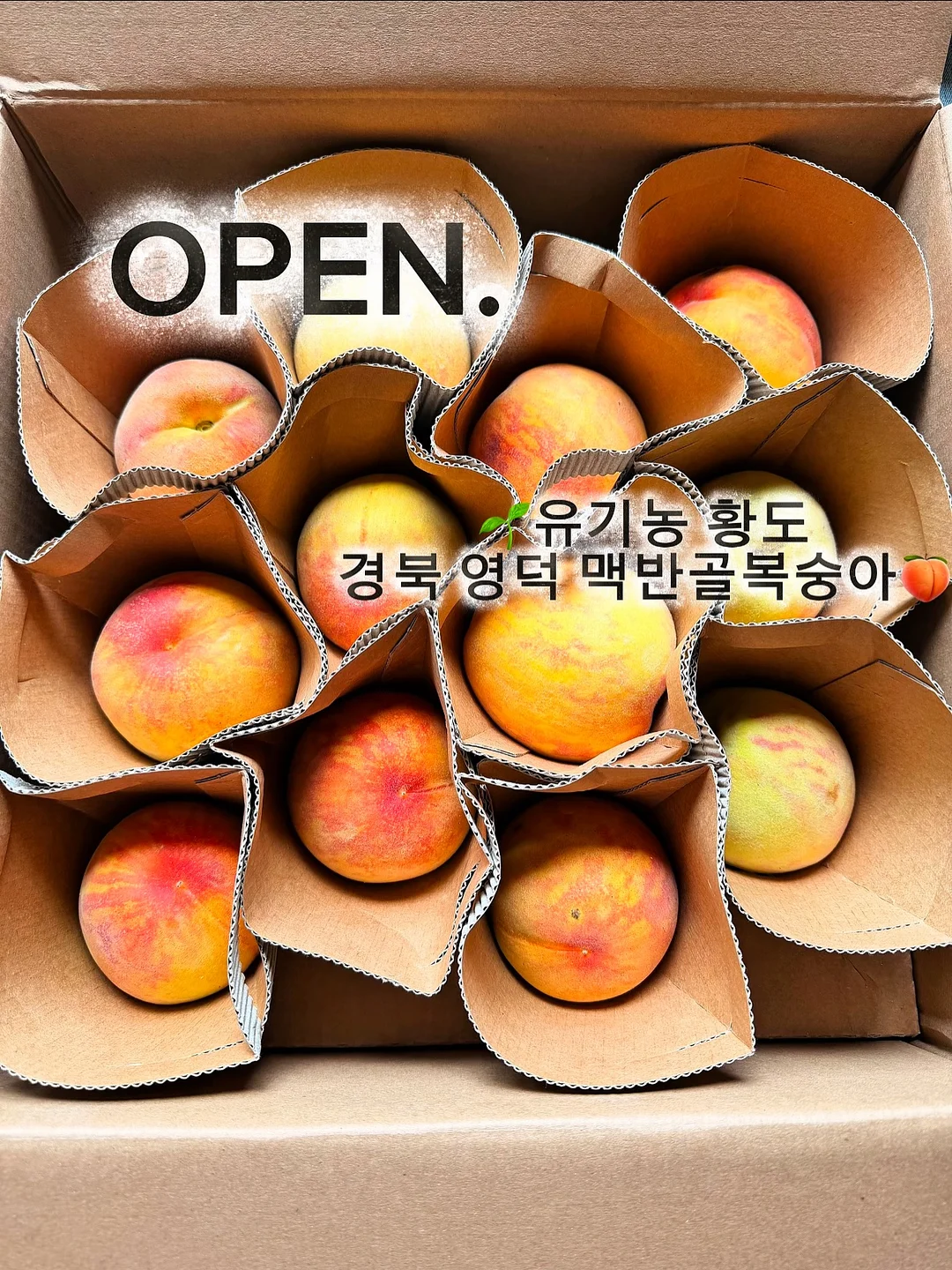 메디코치 어플 1