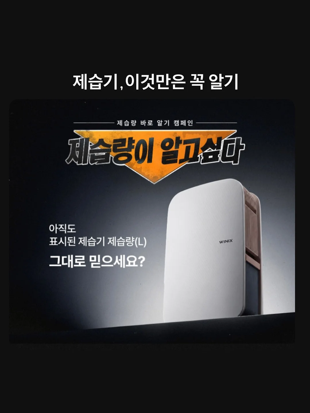 릴리핏 1