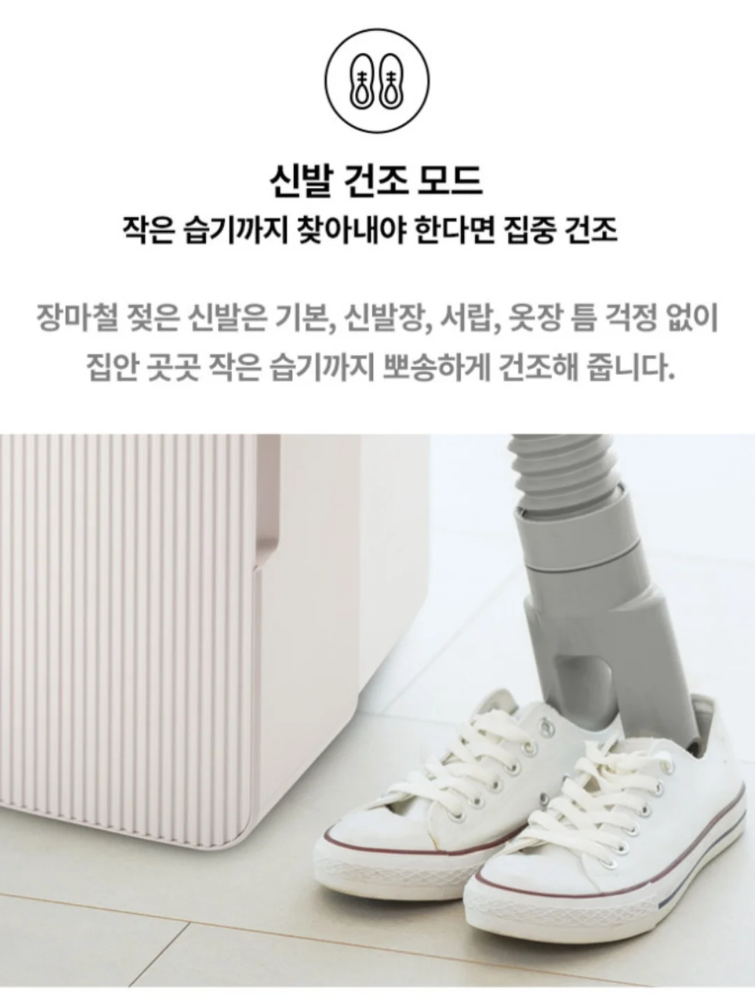 릴리핏 12