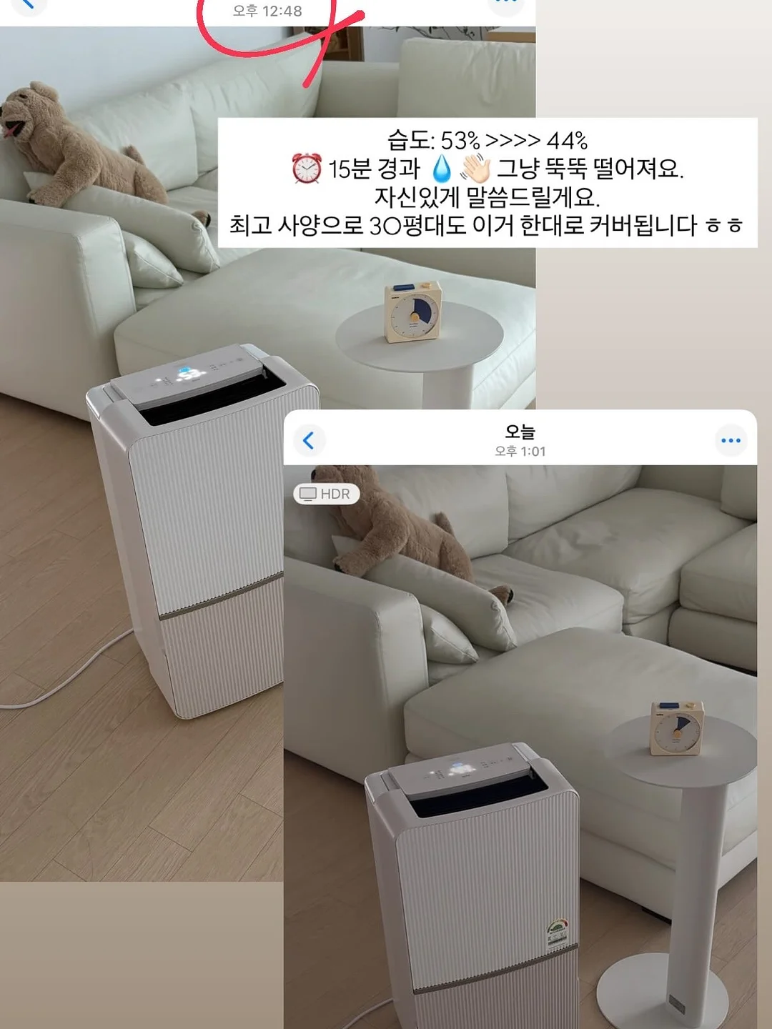 릴리핏 13