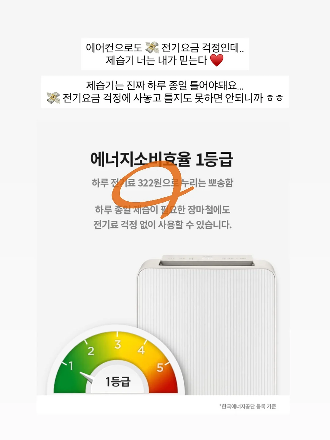 릴리핏 6
