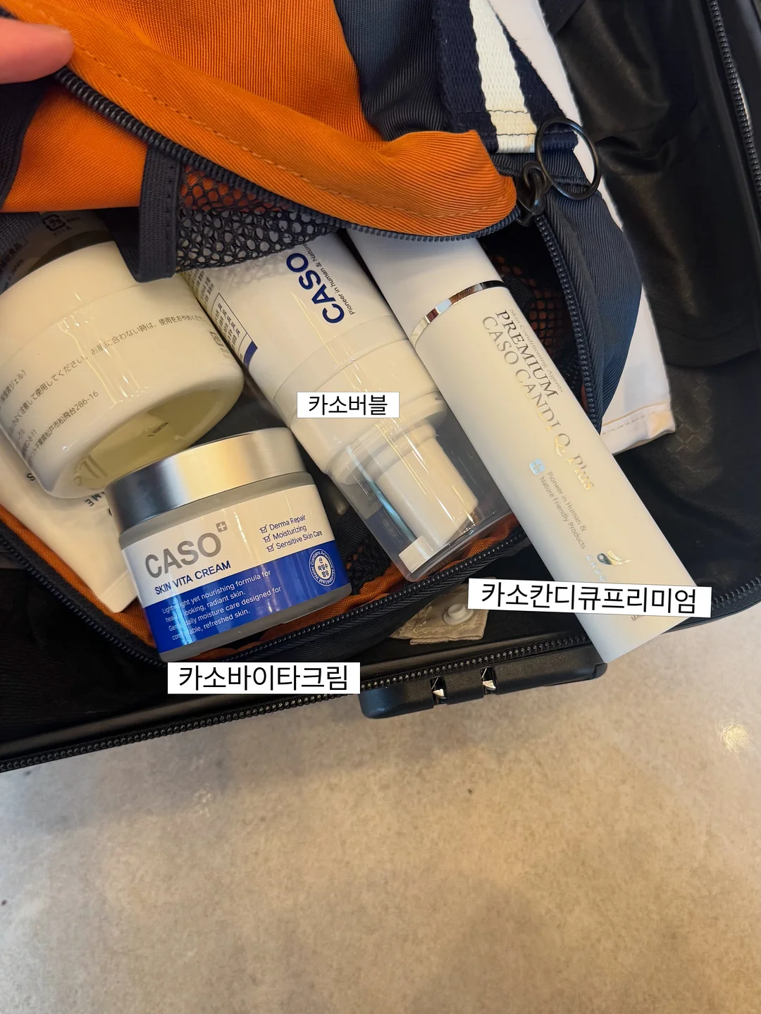 영백 임시보호/입양 6