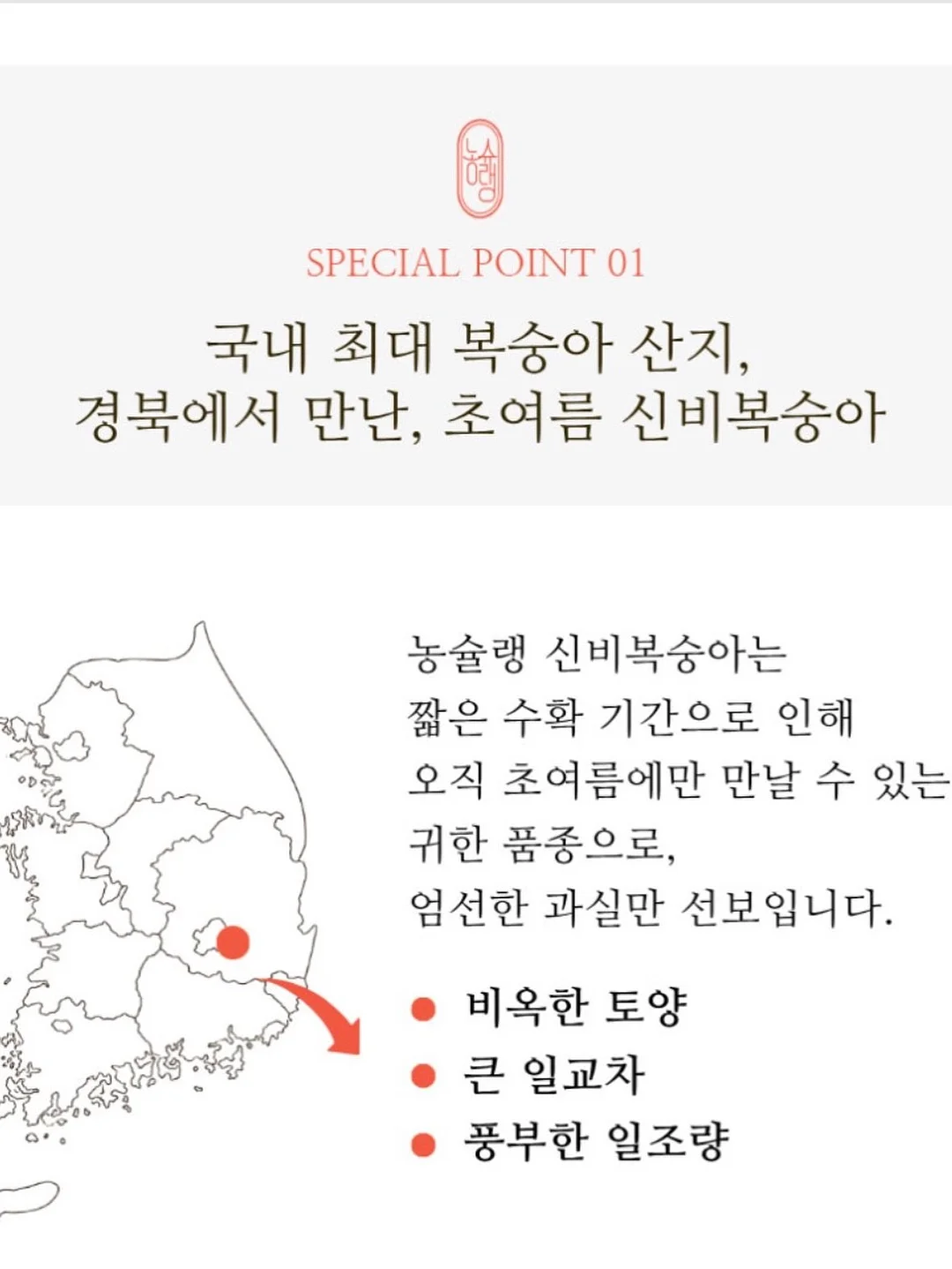 스포츠 운동화 5