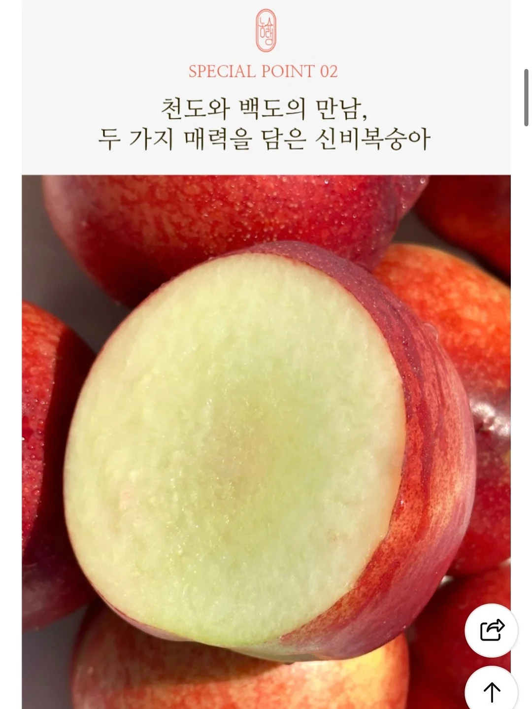 스포츠 운동화 6