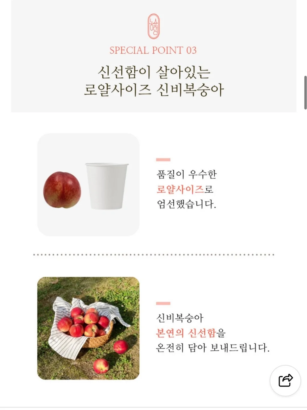 스포츠 운동화 7