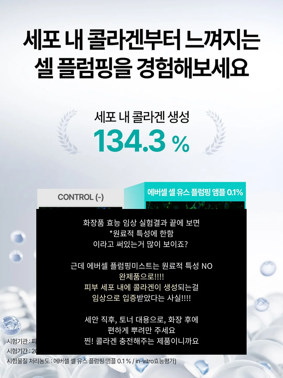 BBQ 황금 올리브 8