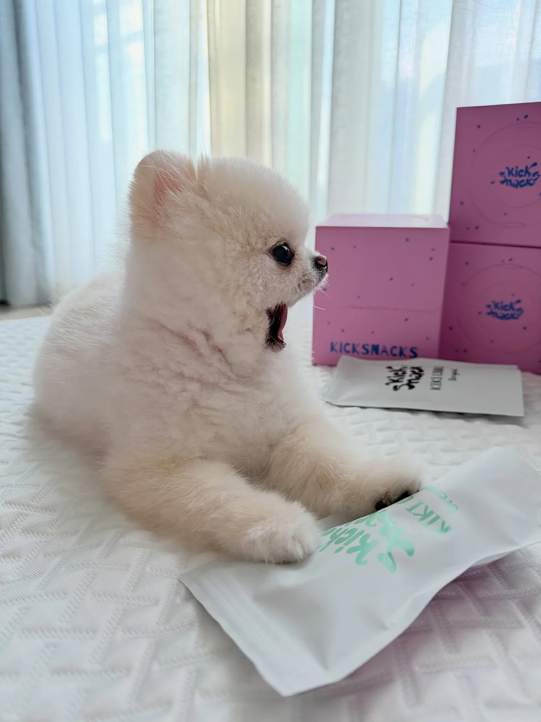 밴딩절개 와이드청pt 1