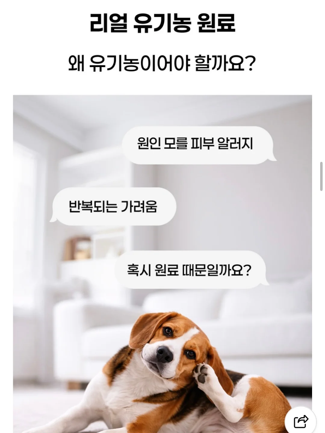 밴딩절개 와이드청pt 11
