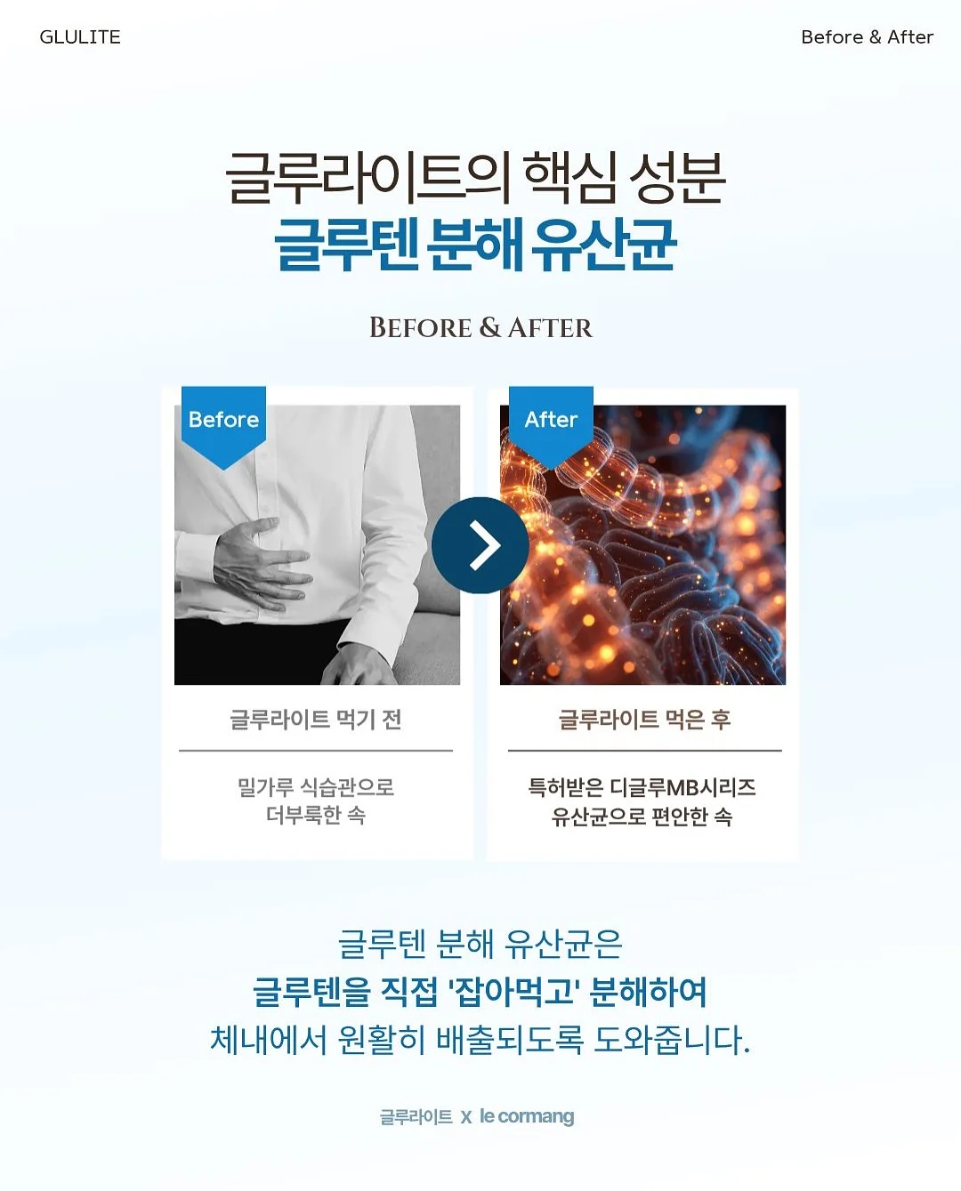 앨빈트라이크 디럭스 3