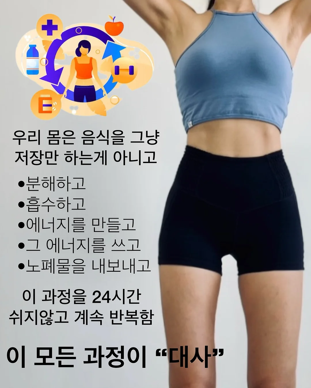 필립스 올 뉴 소닉케어 음파전동칫솔 프로 6