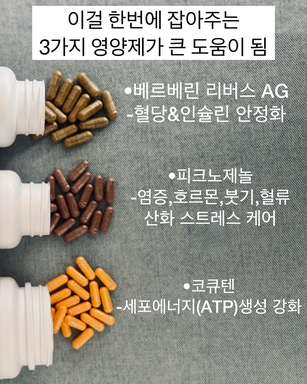 필립스 올 뉴 소닉케어 음파전동칫솔 프로 10