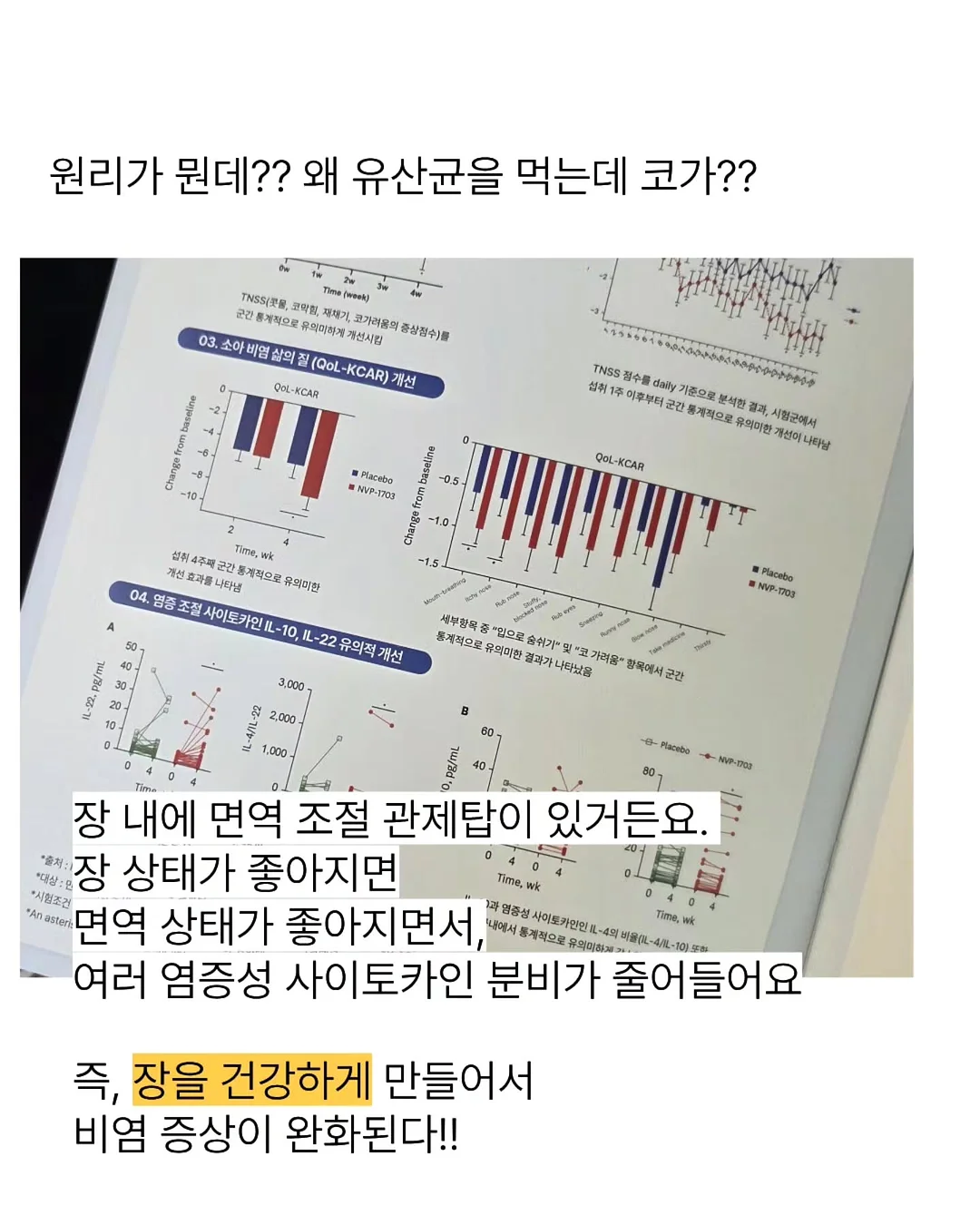 롤슬라이스 7