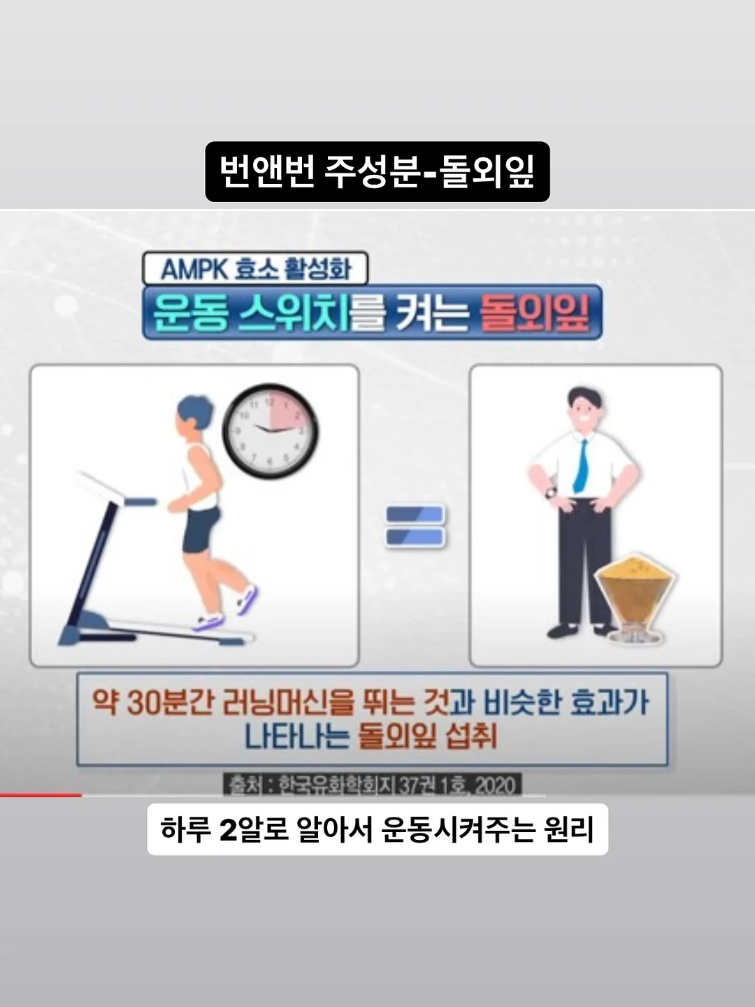 주니컵 4