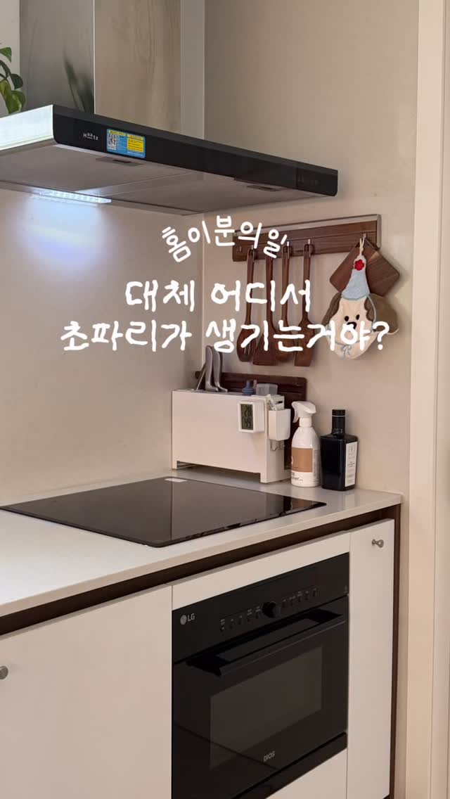 파이브글러브 2026 컬렉션