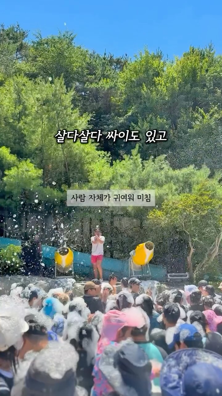 에디르 에어캐논S 드라이어