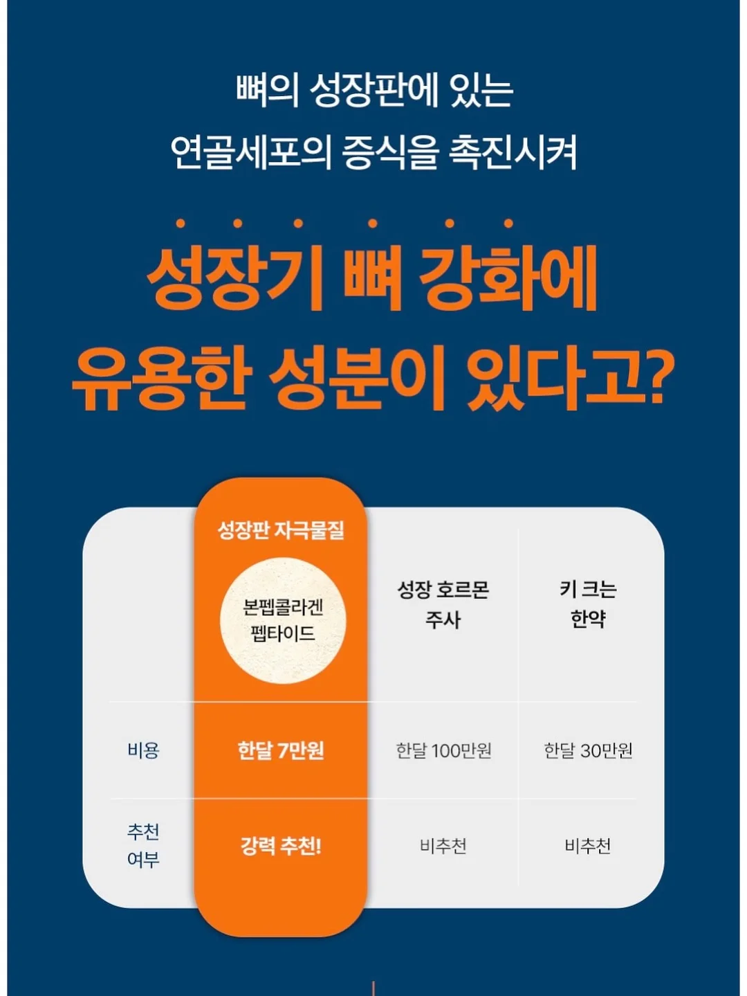 나잇밤 2