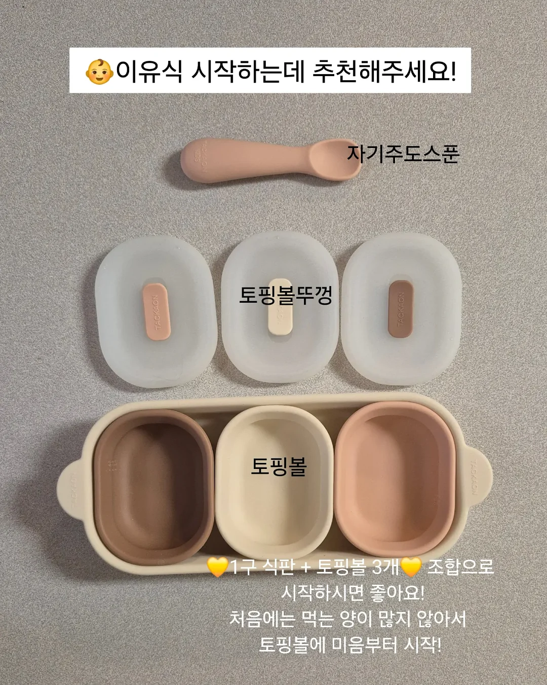 중3-1 중간고사 핵심 요약집 12
