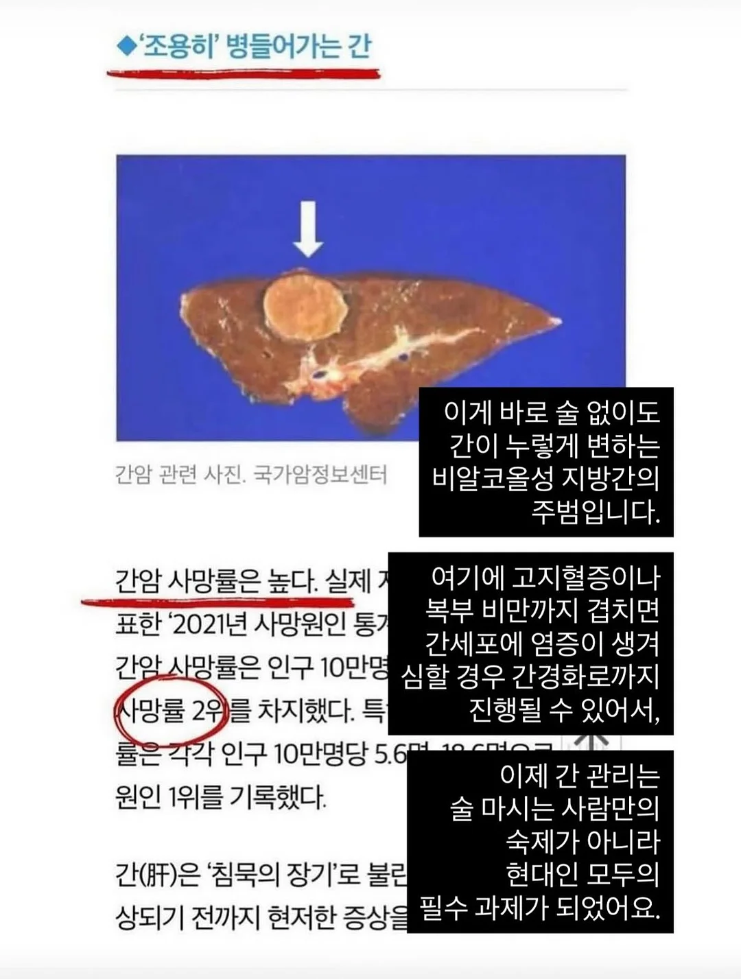 자금 시뮬레이션 액셀 파일 11