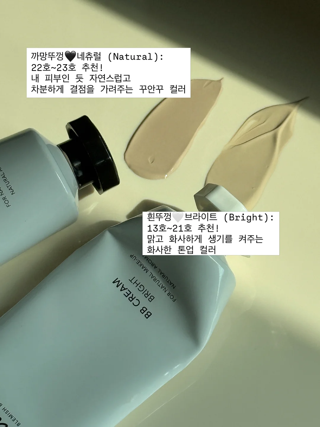 트레맥스 11
