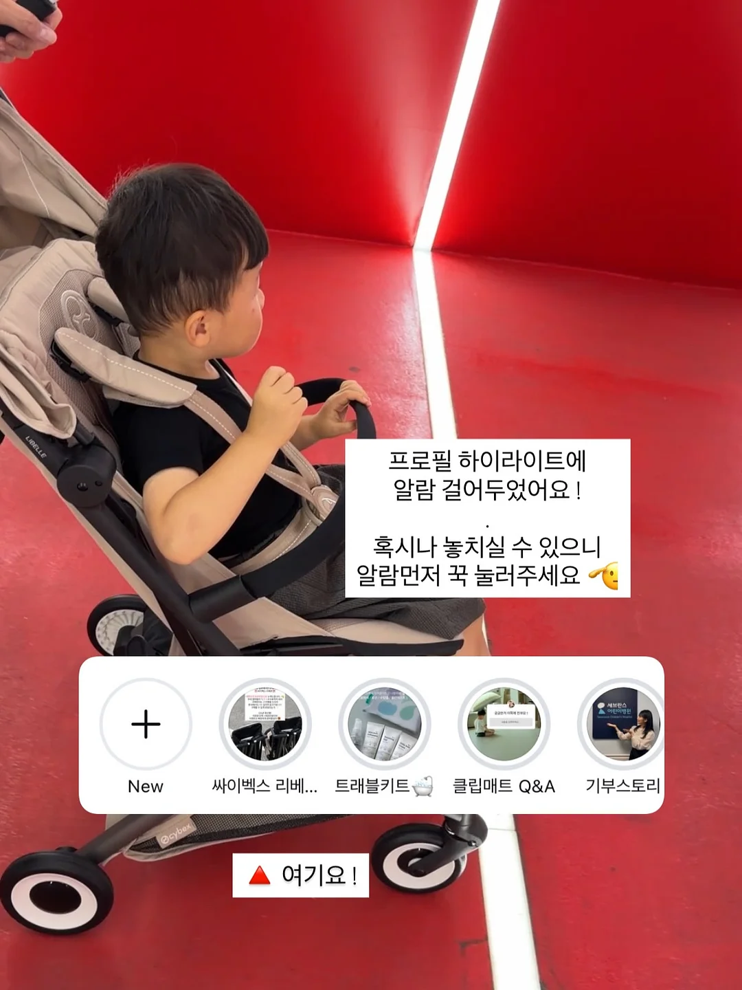 도산제과표 더블프로마쥬 치즈케이크 스치케 11