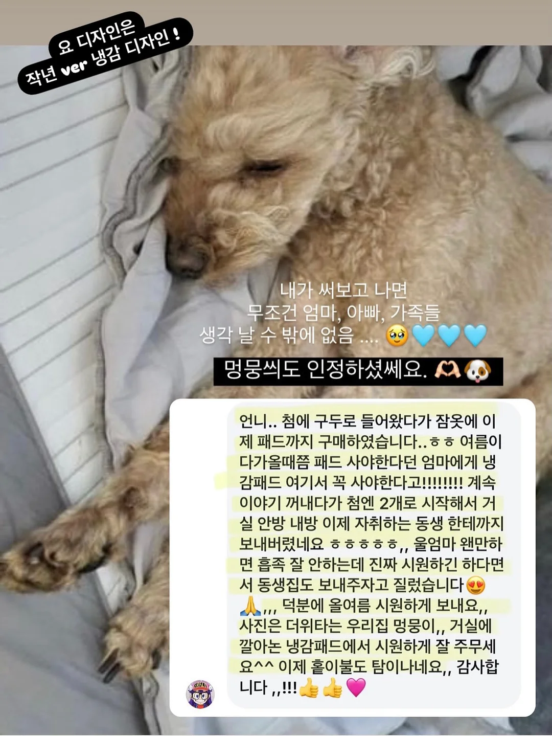 로얄벌꿀고구마 13