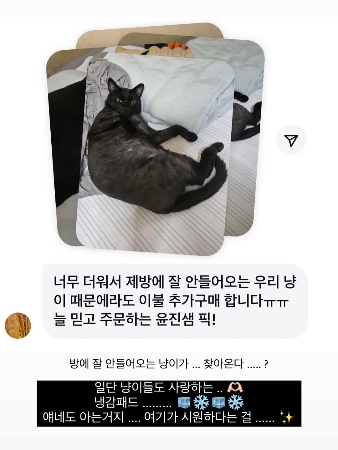 로얄벌꿀고구마 14