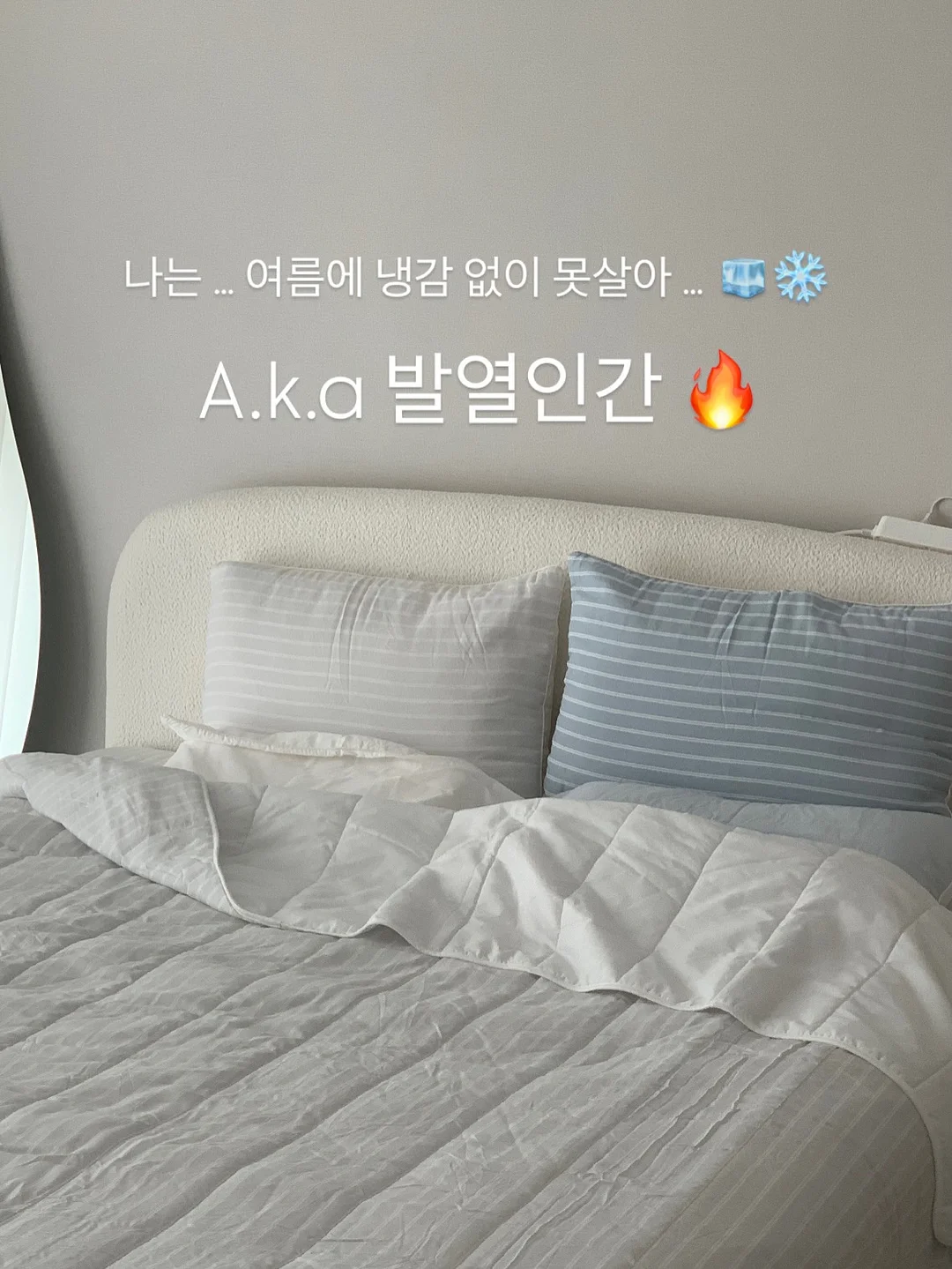 로얄벌꿀고구마 17