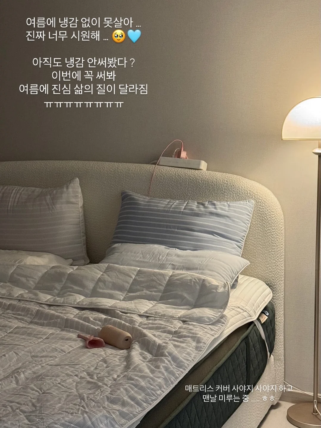 로얄벌꿀고구마 5