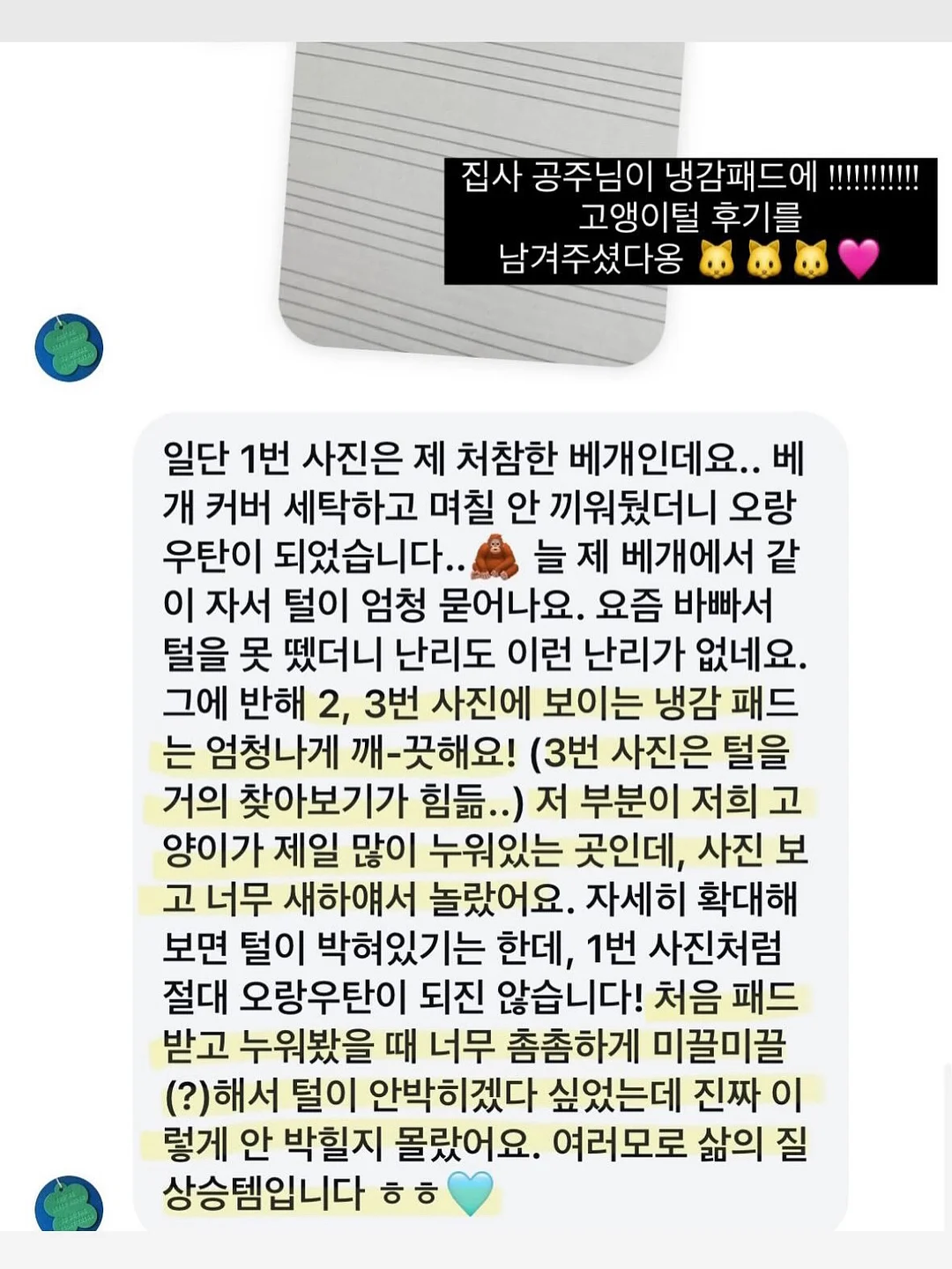 로얄벌꿀고구마 7