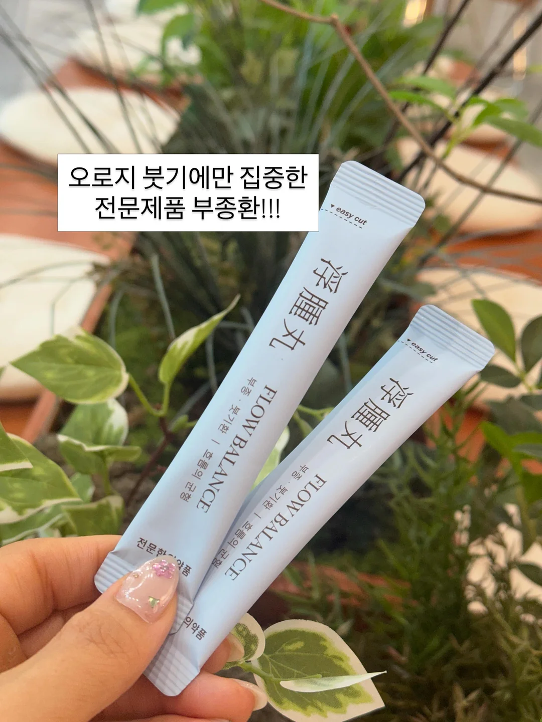 컴팩토이즈 낚시놀이 커버세트 4