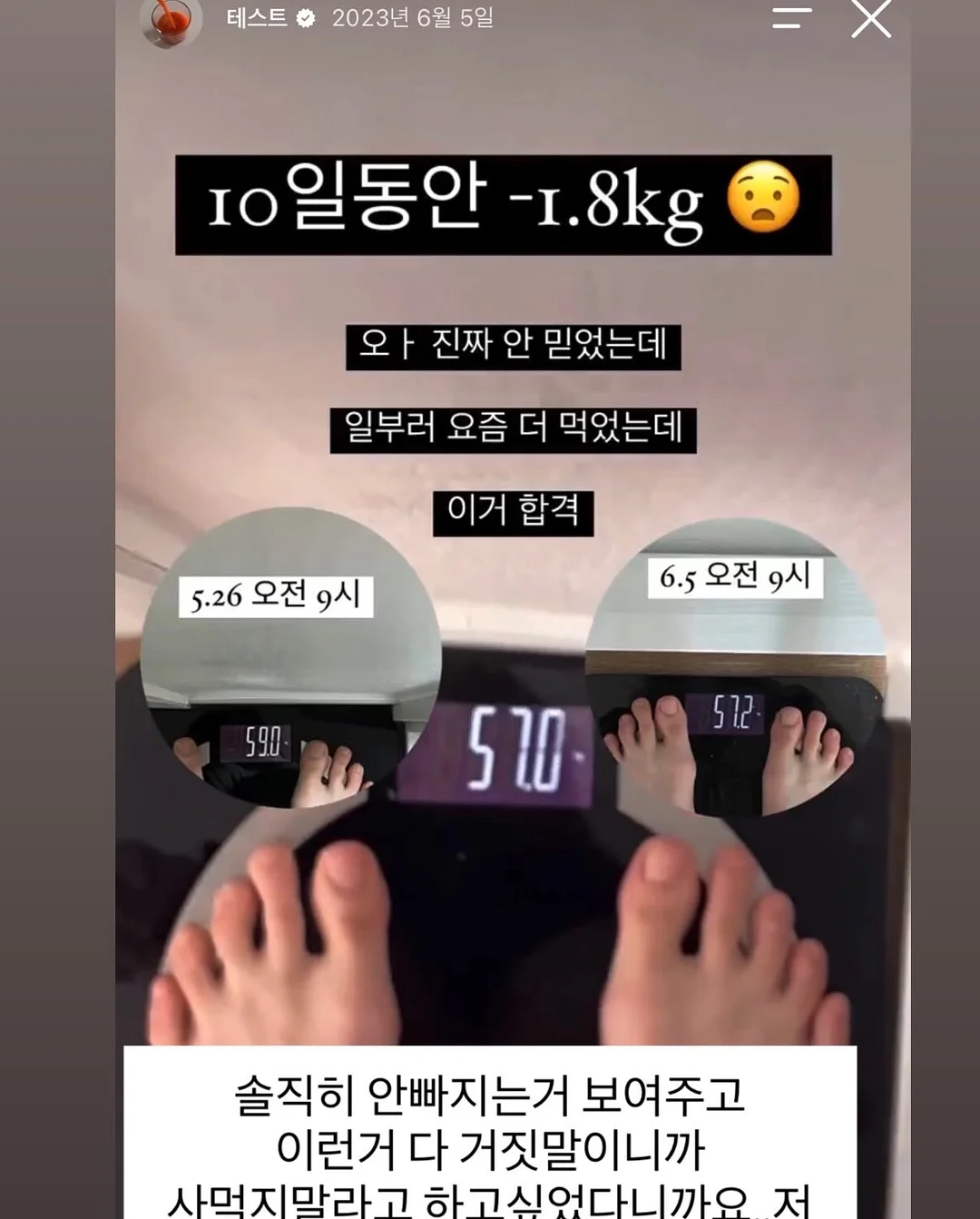 양배추 채칼 10