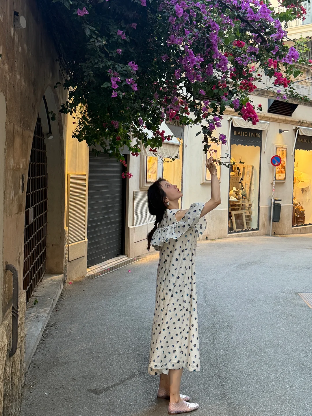오니스트 가든 에디션 9