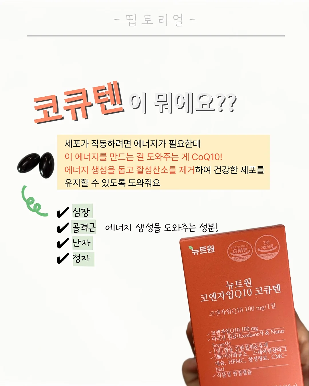 프로폴리스 2