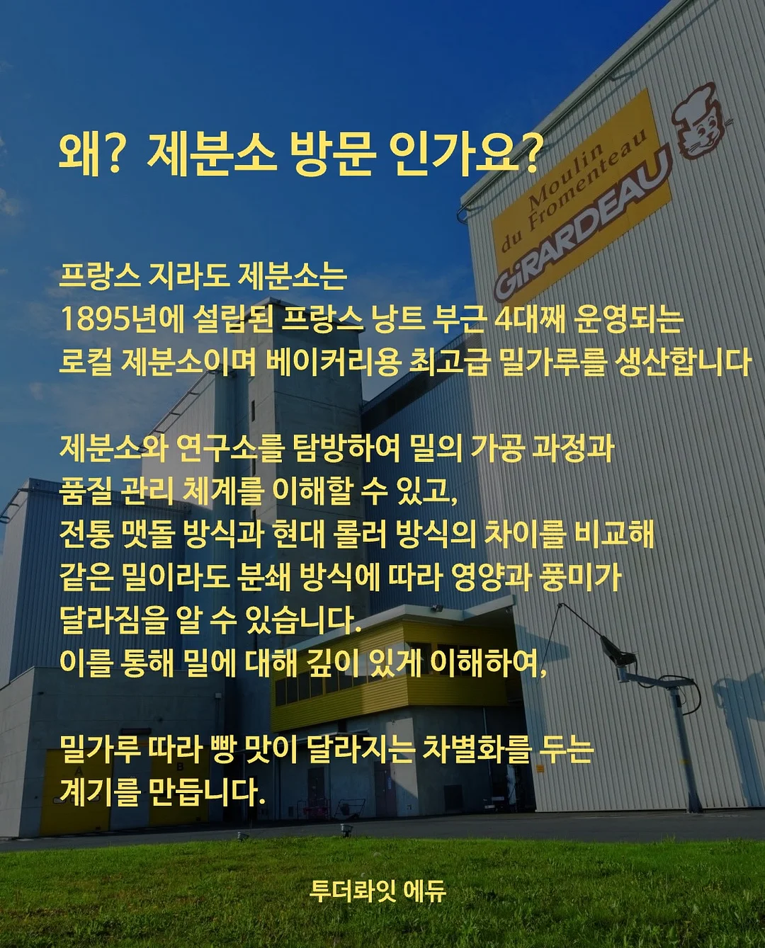 계란말이 비법 4