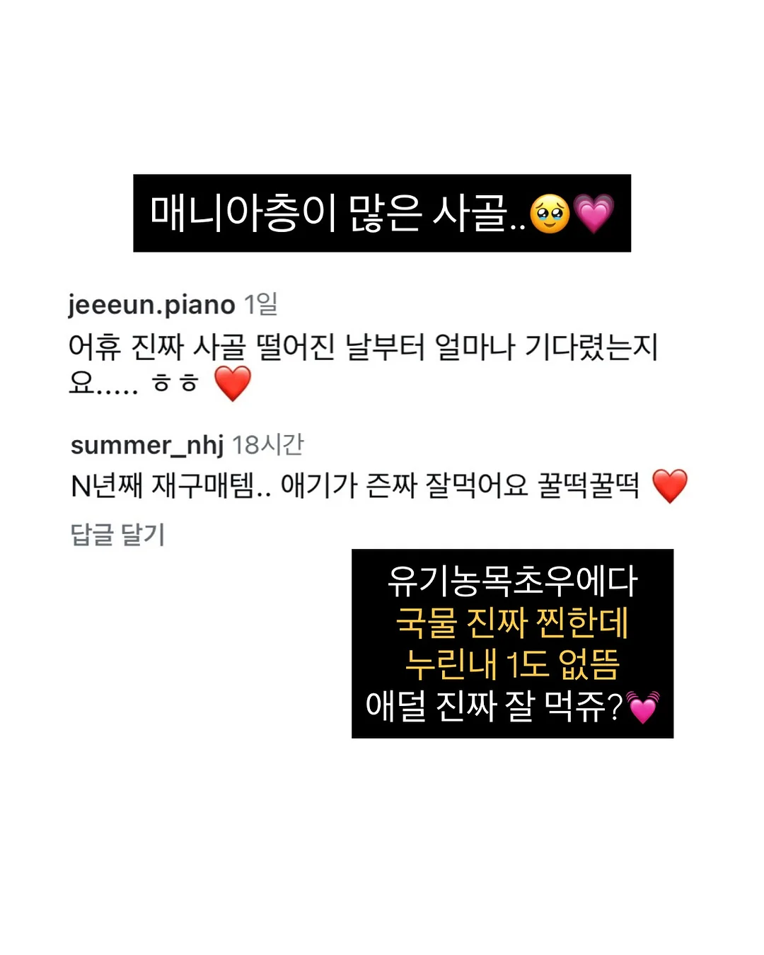 박사퍼티 슬라임 6종 19