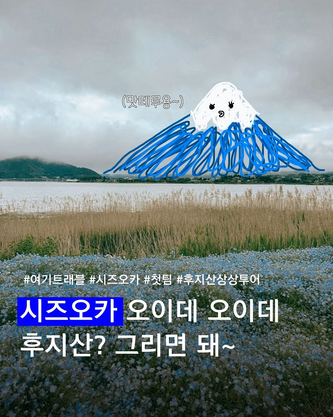 파이토 퍼플베리 스무디 1