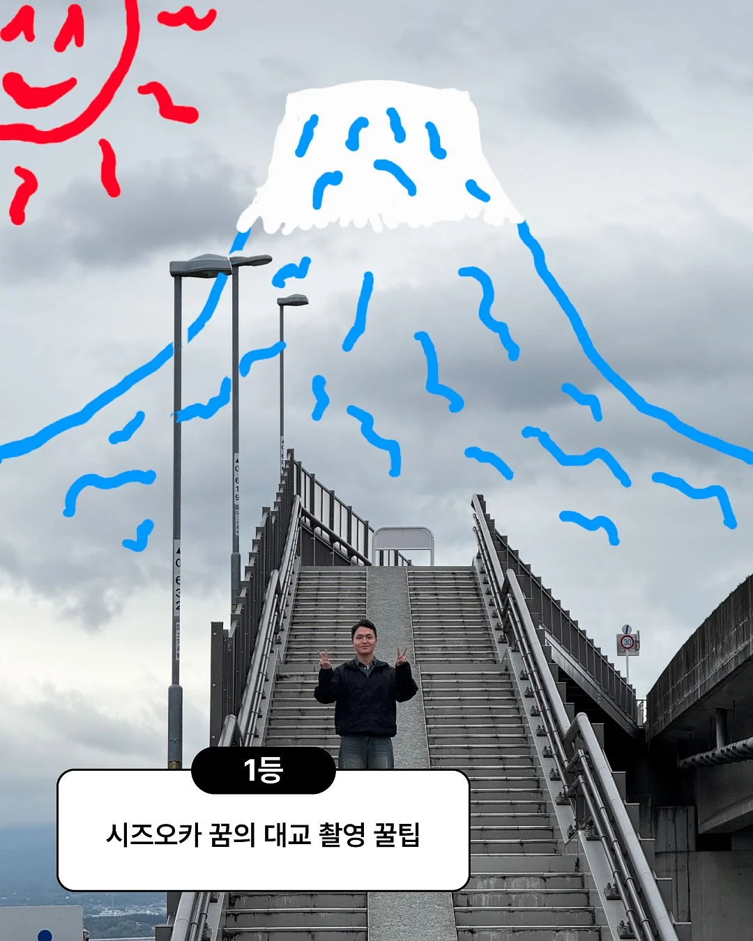 파이토 퍼플베리 스무디 2