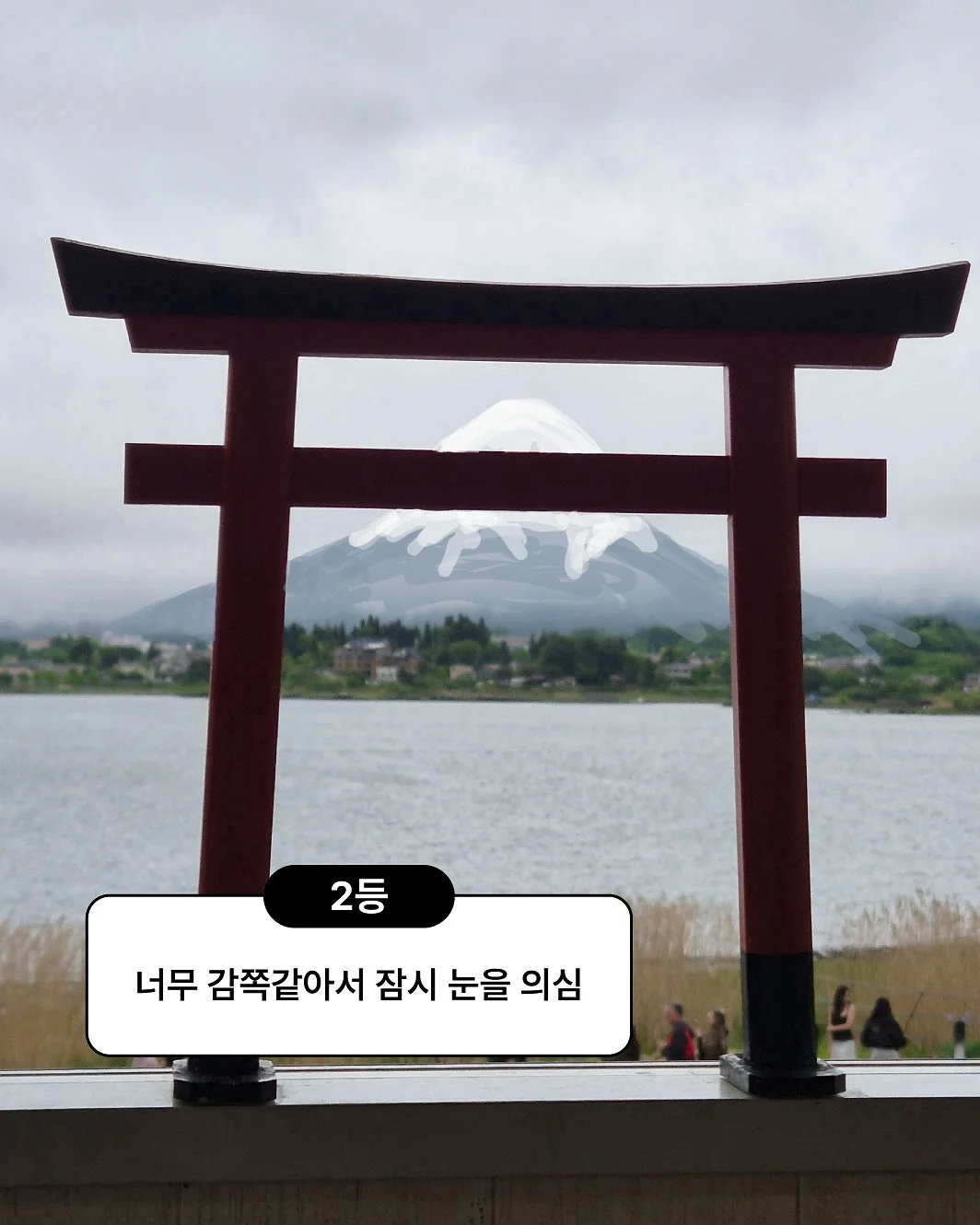 파이토 퍼플베리 스무디 3