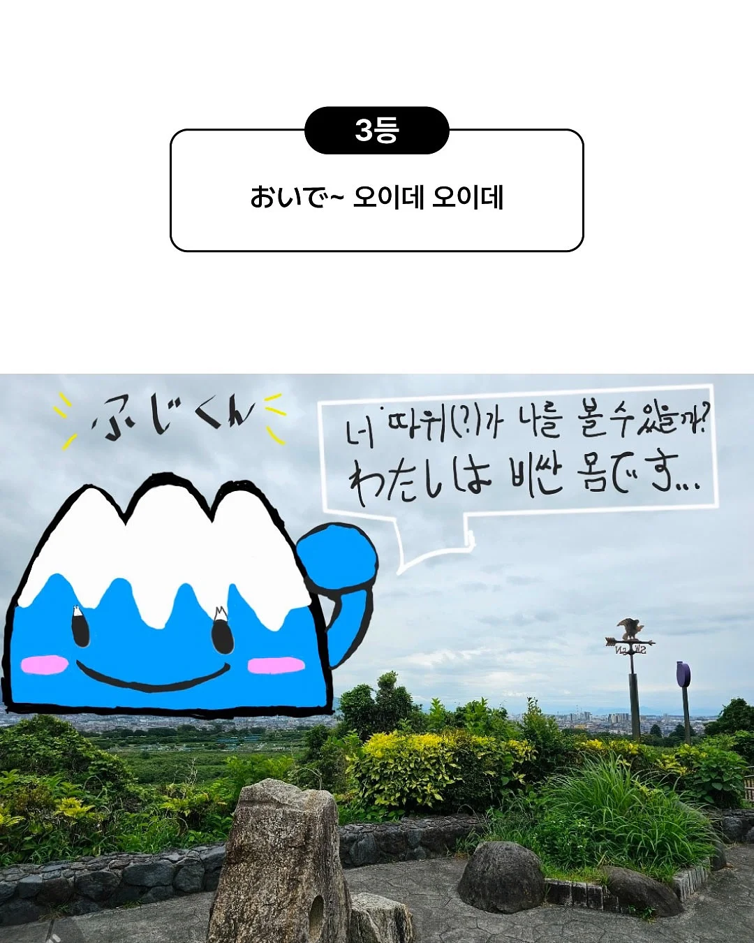 파이토 퍼플베리 스무디 4
