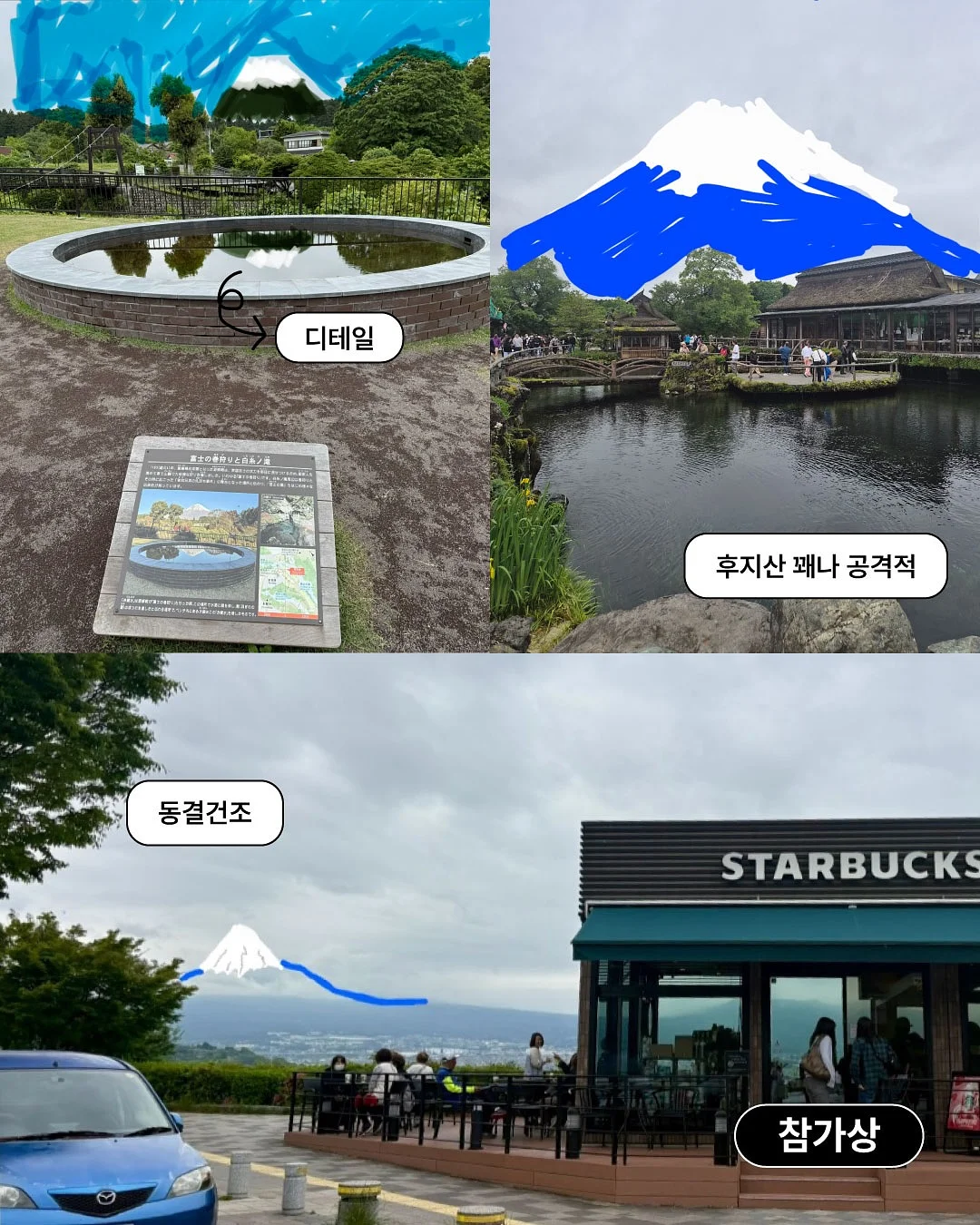 파이토 퍼플베리 스무디 5