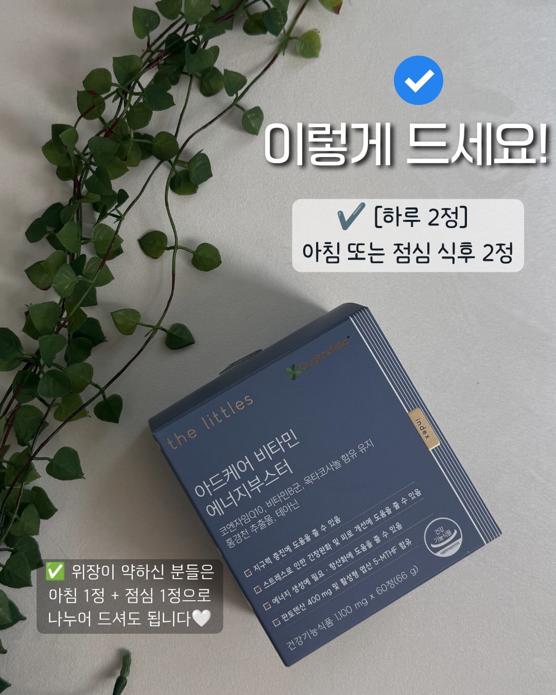 체형커버 세트 2