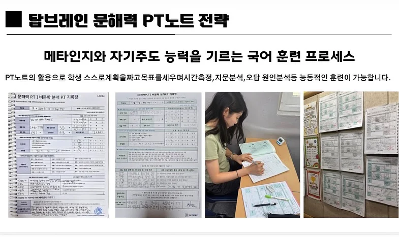 모찌 겨울 티 7