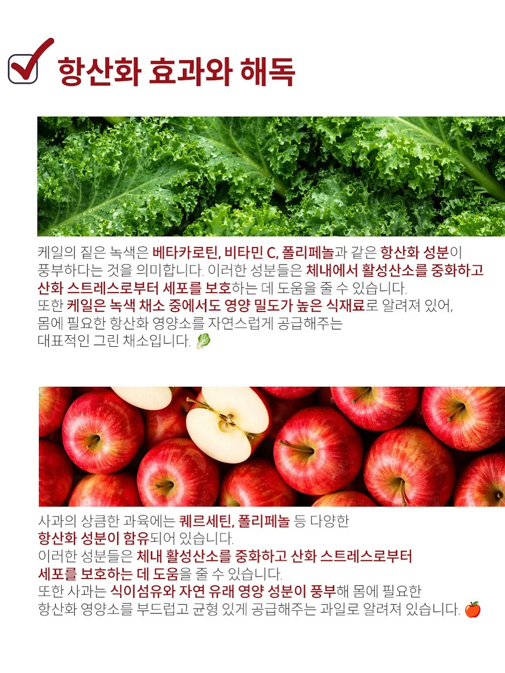 아이스크림 카트 8