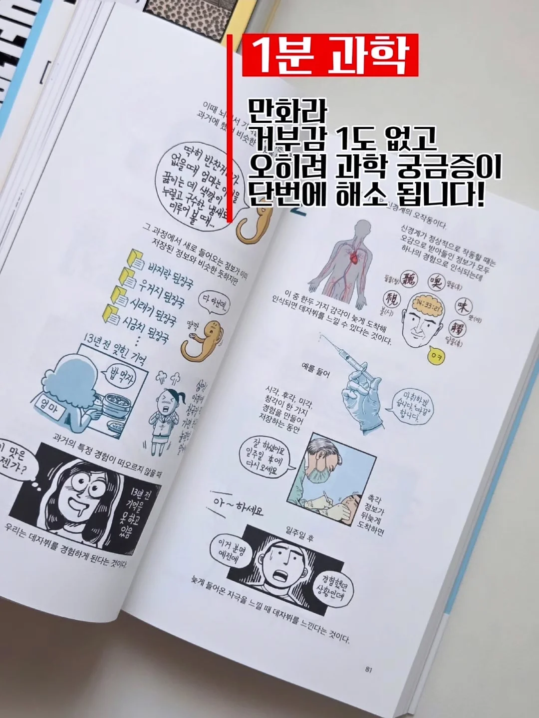 포니테일 캡모자 3