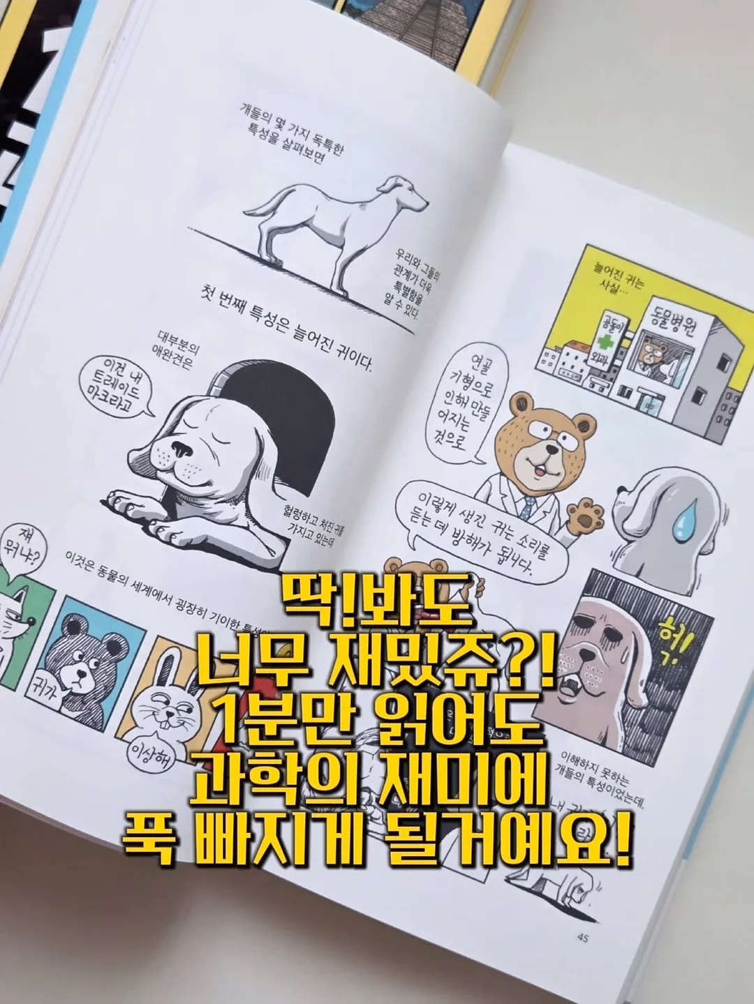 포니테일 캡모자 5